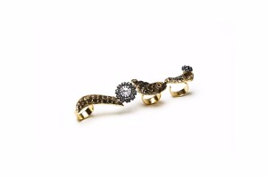 anello4